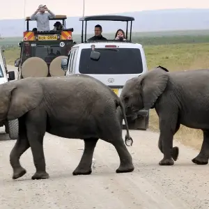 Explore 8 Days Samburu ,Sweetwaters and Maasai Mara Group Tour- Mid - Range for 8 days with Gracepatt Ecotours Kenya and discover unforgettable experiences - Photo 10