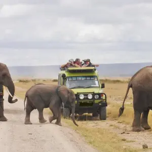 Explore 5 Days Aberdares, Ol Pejeta Conservancy & Samburu Wildlife Private Safari on a 4x4 Landcruiser Jeep for 5 days with Gracepatt Ecotours Kenya and discover unforgettable experiences - Photo 5