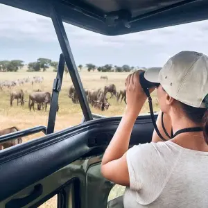 Explore 21days Private safari covering Mt Kenya, Ol Pejeta, Lake Nakuru, Hells gate, Maasai Mara, Amboseli, Tsavo and Diani Beach Holiday for 21 days with Gracepatt Ecotours Kenya and discover unforgettable experiences - Photo 11