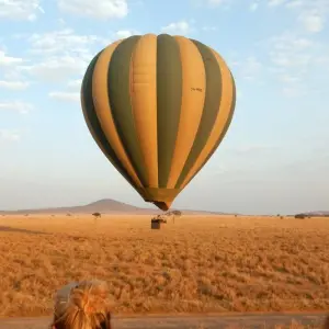 Explore 11 Days Kenya & Tanzania Birding & Big 5 High End Safari for 11 days with Gracepatt Ecotours Kenya and discover unforgettable experiences - Photo 7