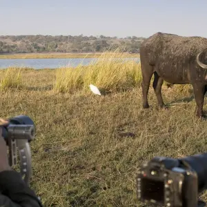 Explore 4 Days Serval Wildlife, Serengeti & Ngorongoro Luxury Safari for 4 days with Gracepatt Ecotours Kenya and discover unforgettable experiences - Photo 3