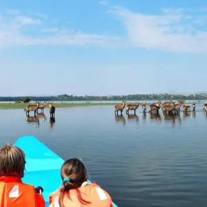 Explore 15-Day Ultimate East Africa Safari: Kenya & Tanzania Wildlife Expedition for 15 days with Gracepatt Ecotours Kenya and discover unforgettable experiences - Photo 9