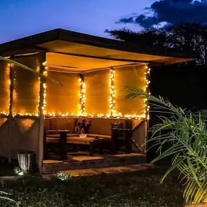 Explore 4 Days Serval Wildlife, Serengeti & Ngorongoro Luxury Safari for 4 days with Gracepatt Ecotours Kenya and discover unforgettable experiences - Photo 6