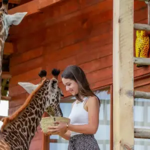 Explore 4 Days Serval Wildlife, Serengeti & Ngorongoro Luxury Safari for 4 days with Gracepatt Ecotours Kenya and discover unforgettable experiences - Photo 7