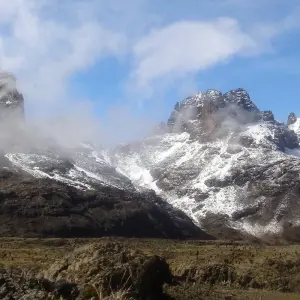 Explore 12 Days Mount Kenya Climbing, Lake Nakuru & Masai Mara Wildlife Safari - Comfort for 12 days with Gracepatt Ecotours Kenya and discover unforgettable experiences - Photo 3