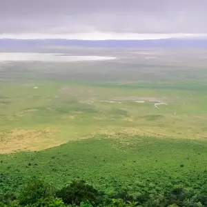 Explore 2 Day Tanzania Safari: Lake Manyara & Ngorongoro Crater from Arusha- Comfort for 2 days with Gracepatt Ecotours Kenya and discover unforgettable experiences - Photo 2