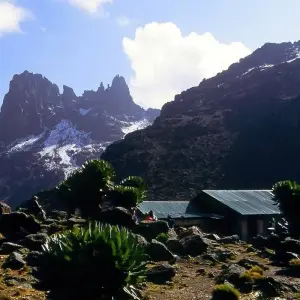 Explore 12 Days Mount Kenya Climbing, Lake Nakuru & Masai Mara Wildlife Safari - Comfort for 12 days with Gracepatt Ecotours Kenya and discover unforgettable experiences - Photo 4