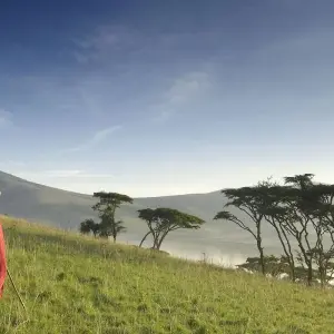 Explore 7 Day Tanzania Northern Circuit Safari: Lake Manyara, Serengeti, Ngorongoro, Tarangire National Park- Mid-range for 7 days with Gracepatt Ecotours Kenya and discover unforgettable experiences - Photo 4