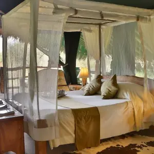 Explore 6 Day Luxury Lodge Safari: Amboseli, Tsavo West, Tsavo East, Mombasa for 6 days with Gracepatt Ecotours Kenya and discover unforgettable experiences - Photo 8