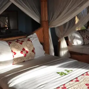 Explore 2 Day Tanzania Safari: Lake Manyara & Ngorongoro Crater from Arusha- Comfort for 2 days with Gracepatt Ecotours Kenya and discover unforgettable experiences - Photo 9