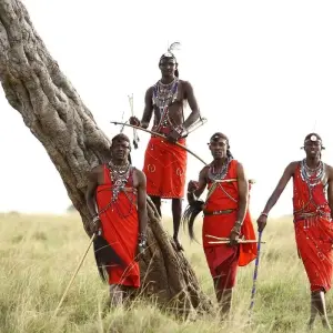 Explore 12 Days Mount Kenya Climbing, Lake Nakuru & Masai Mara Wildlife Safari - Comfort for 12 days with Gracepatt Ecotours Kenya and discover unforgettable experiences - Photo 10