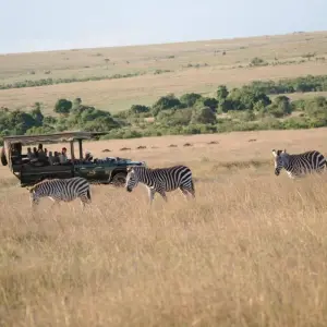 Explore 6 Day Luxury Lodge Safari: Amboseli, Tsavo West, Tsavo East, Mombasa for 6 days with Gracepatt Ecotours Kenya and discover unforgettable experiences - Photo 11