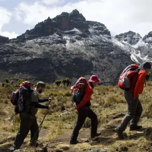 Explore 12 Days Mount Kenya Climbing, Lake Nakuru & Masai Mara Wildlife Safari - Comfort for 12 days with Gracepatt Ecotours Kenya and discover unforgettable experiences - Photo 11