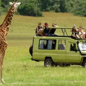 Explore 4-Day Lake Naivasha & Masai Mara Wildlife Luxury Safari for 4 days with Gracepatt Ecotours Kenya and discover unforgettable experiences - Photo 9