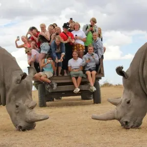 Explore 13 Days Best of Kenya Family Wildlife Safari & Diani Beach Holiday for 13 days with Gracepatt Ecotours Kenya and discover unforgettable experiences - Photo 10