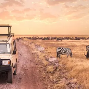 Explore 8-Day Maasai Mara Wildebeest Great Migration Private Safari for 8 days with Gracepatt Ecotours Kenya and discover unforgettable experiences - Photo 2