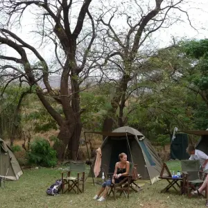 Explore 6-Day Tanzania Camping Safari: Lake Manyara, Serengeti, Ngorongoro Crater  and Tarangire National Park from Arusha for 6 days with Gracepatt Ecotours Kenya and discover unforgettable experiences - Photo 4