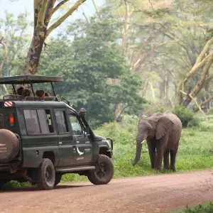 Explore 6-Day Tanzania Camping Safari: Lake Manyara, Serengeti, Ngorongoro Crater  and Tarangire National Park from Arusha for 6 days with Gracepatt Ecotours Kenya and discover unforgettable experiences - Photo 5
