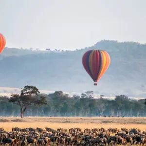 Explore 3-Days Masai Mara mid range Safari Combined with Hot Air Balloon Ride Experience for 3 days with Gracepatt Ecotours Kenya and discover unforgettable experiences - Photo 5