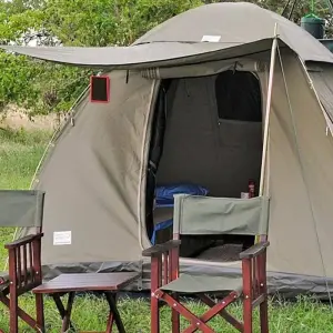Explore 6-Day Tanzania Camping Safari: Lake Manyara, Serengeti, Ngorongoro Crater  and Tarangire National Park from Arusha for 6 days with Gracepatt Ecotours Kenya and discover unforgettable experiences - Photo 7