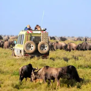 Explore 6-Day Tanzania Camping Safari: Lake Manyara, Serengeti, Ngorongoro Crater  and Tarangire National Park from Arusha for 6 days with Gracepatt Ecotours Kenya and discover unforgettable experiences - Photo 8