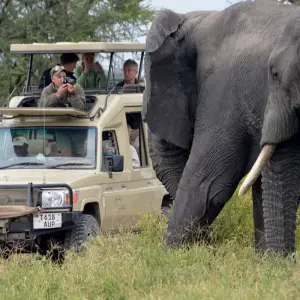 Explore 11 Days Best of Kenya & Tanzania Private Tented Camping Safari for 11 days with Gracepatt Ecotours Kenya and discover unforgettable experiences - Photo 8