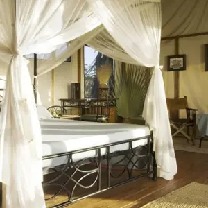 Explore 3-Days Masai Mara mid range Safari Combined with Hot Air Balloon Ride Experience for 3 days with Gracepatt Ecotours Kenya and discover unforgettable experiences - Photo 9