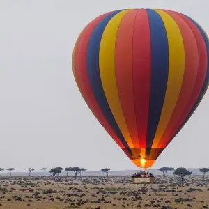 Explore 4-Days Masai Mara Safari Combined with Hot Air Balloon Ride Experience for 4 days with Gracepatt Ecotours Kenya and discover unforgettable experiences - Photo 9