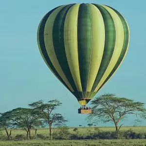 Explore 3-Days Masai Mara mid range Safari Combined with Hot Air Balloon Ride Experience for 3 days with Gracepatt Ecotours Kenya and discover unforgettable experiences - Photo 11
