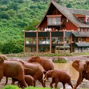 Explore 3-Days Aberdares & Sweetwaters Ol Pejeta Chimpanzee Sanctuary Private Safari for 3 days with Gracepatt Ecotours Kenya and discover unforgettable experiences - Photo 7