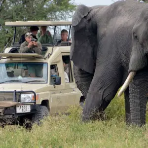 Explore 5Days Tanzania Budget Camping Safari :  Lake Manyara, Serengeti And Ngorongoro Crater from Arusha for 5 days with Gracepatt Ecotours Kenya and discover unforgettable experiences - Photo 6