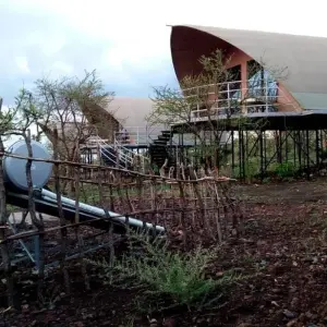 Explore 3 Days Ngorongoro Crater Wildlife Mid-range  Safari for 3 days with Gracepatt Ecotours Kenya and discover unforgettable experiences - Photo 5