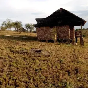 Explore 5Days Tanzania Budget Camping Safari :  Lake Manyara, Serengeti And Ngorongoro Crater from Arusha for 5 days with Gracepatt Ecotours Kenya and discover unforgettable experiences - Photo 8