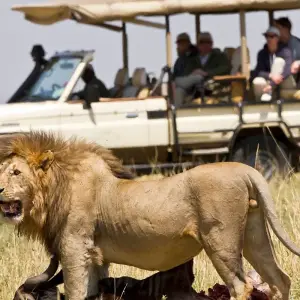 Explore 16 Days Kenya, Tanzania Elephant Country & Big Cats Luxury Safari for 16 days with Gracepatt Ecotours Kenya and discover unforgettable experiences - Photo 10