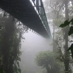 Explore The Best of Costa Rica (From Caribbean Coast to Pacific Side) for 13 days with Green World Adventures and discover unforgettable experiences - Photo 2