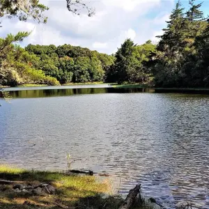 Explore Eco-adventure in Costa Rica for 9 days with Green World Adventures and discover unforgettable experiences - Photo 3