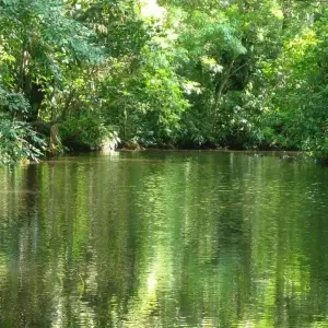 Explore Tortuguero: A natural paradise in Costa Rica for 3 days with Green World Adventures and discover unforgettable experiences - Photo 3