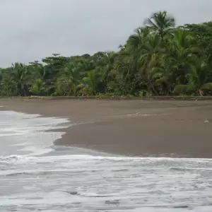 Explore The Costa Rican Caribbean Adventure for 7 days with Green World Adventures and discover unforgettable experiences - Photo 4