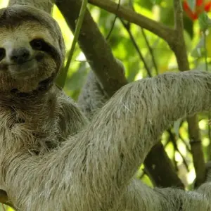 Explore Costa Rica Family Vacations for 6 days with Green World Adventures and discover unforgettable experiences - Photo 4