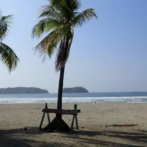 Explore Eco-adventure in Costa Rica for 9 days with Green World Adventures and discover unforgettable experiences - Photo 4