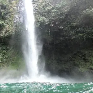 Explore Costa Rica Wildlife Exploration for 14 days with Green World Adventures and discover unforgettable experiences - Photo 5