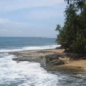 Explore The Best of Costa Rica (From Caribbean Coast to Pacific Side) for 13 days with Green World Adventures and discover unforgettable experiences - Photo 5