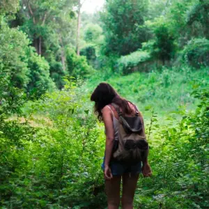 Explore Hidden Gems of Costa Rica for 15 days with Green World Adventures and discover unforgettable experiences - Photo 6