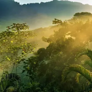 Explore Arenal Volcano & Monteverde Cloud Forest Costa Rica, the perfect combination for 5 days with Green World Adventures and discover unforgettable experiences - Photo 4