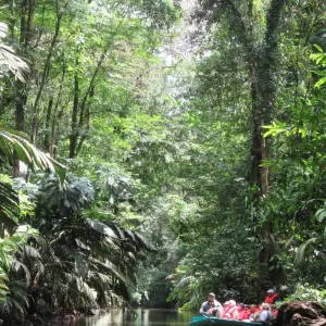 Explore The Costa Rican Caribbean Adventure for 7 days with Green World Adventures and discover unforgettable experiences - Photo 6