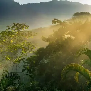 Explore Costa Rica Wildlife Exploration for 14 days with Green World Adventures and discover unforgettable experiences - Photo 6