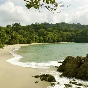 Explore The Best of Costa Rica (From Caribbean Coast to Pacific Side) for 13 days with Green World Adventures and discover unforgettable experiences - Photo 6