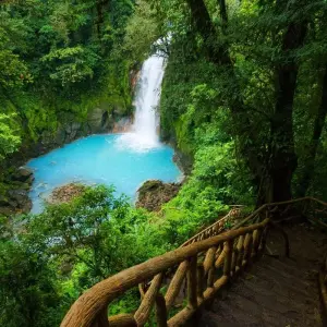 Explore Hidden Gems of Costa Rica for 15 days with Green World Adventures and discover unforgettable experiences - Photo 7