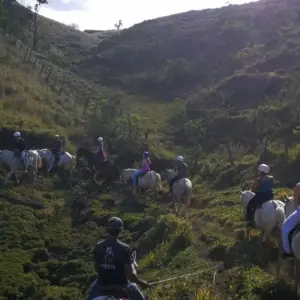 Explore Raft, Hike and Explore Costa Rica for 7 days with Green World Adventures and discover unforgettable experiences - Photo 7