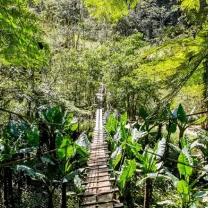 Explore Pangalanes  Channel extraordinary journey for 14 days with Green Island Discovery and discover unforgettable experiences - Photo 2